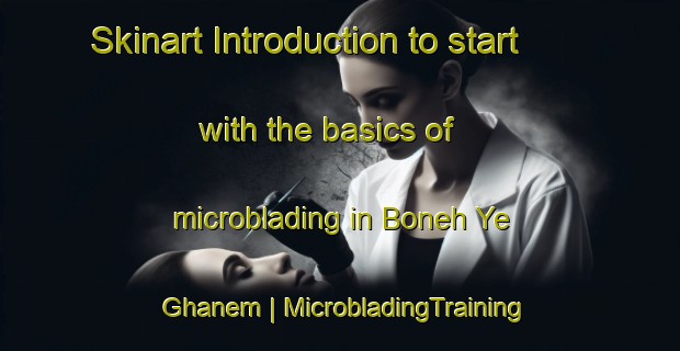 Skinart Introduction to start with the basics of microblading in Boneh Ye Ghanem | MicrobladingTraining | MicrobladingClasses | SkinartTraining-Islamic Republic of Iran